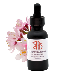 Cherry Blossom Flower Essence