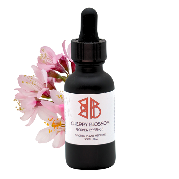 Cherry Blossom Flower Essence