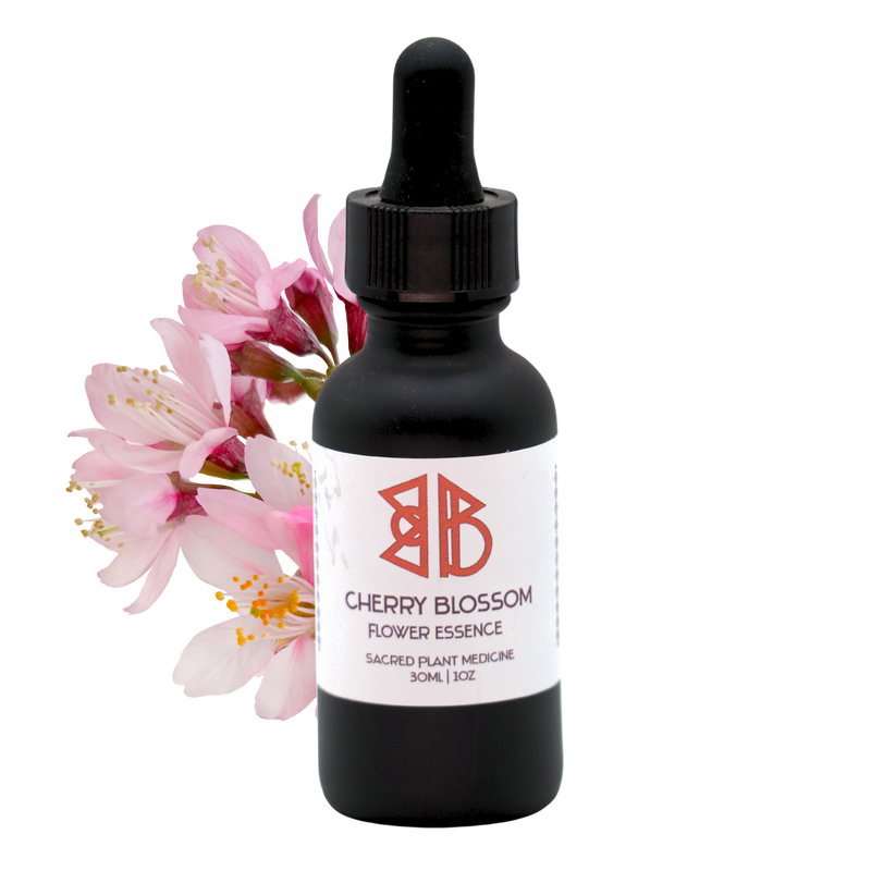 Cherry Blossom Flower Essence