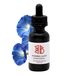 Morning Glory Flower Essence