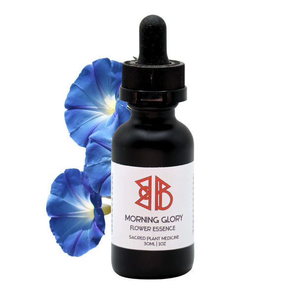 Morning Glory Flower Essence