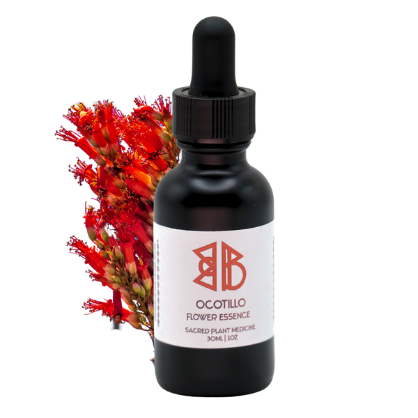 Ocotillo Cactus Flower Essence